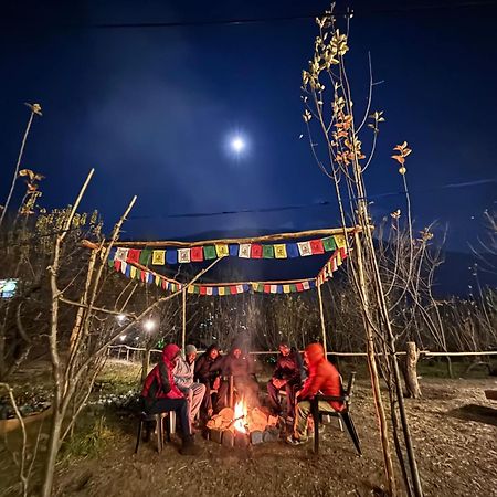 Хостел Basecamp Manali Екстер'єр фото
