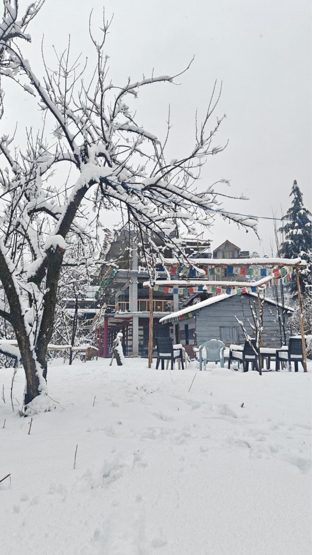 Хостел Basecamp Manali Екстер'єр фото